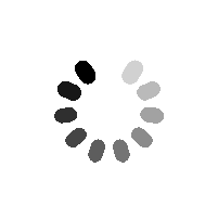 nolanguage